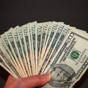 Meet your Posher, Donovan